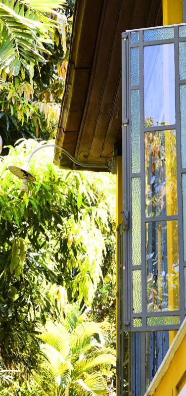Casa Amarelo - Window on garden